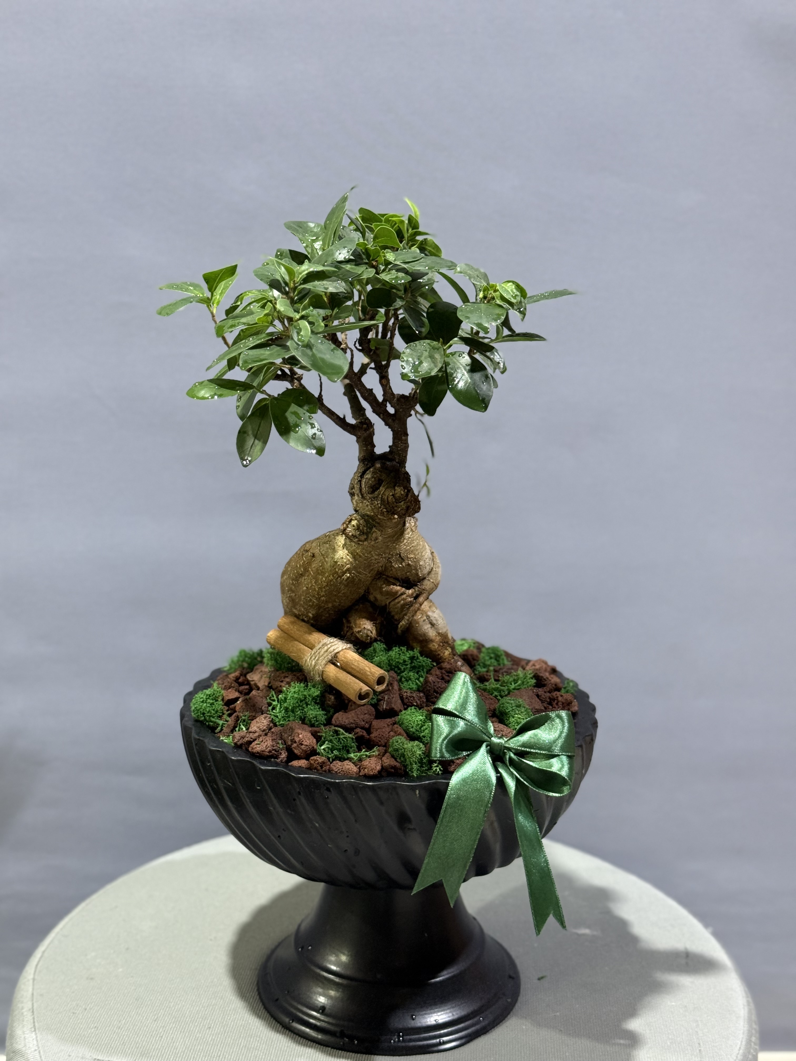 Bonsai özel seramikli