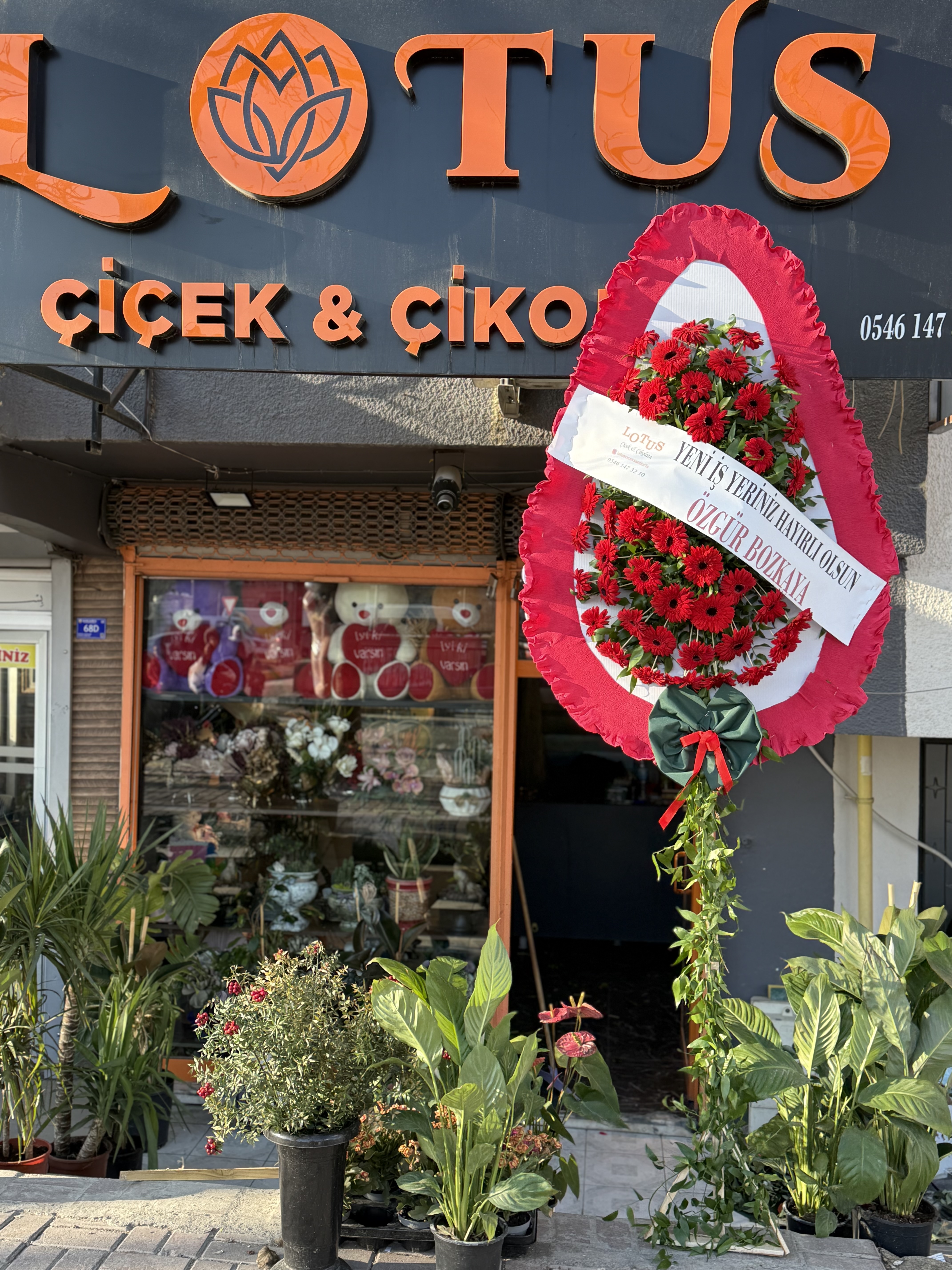 Canlı çelenk celbera