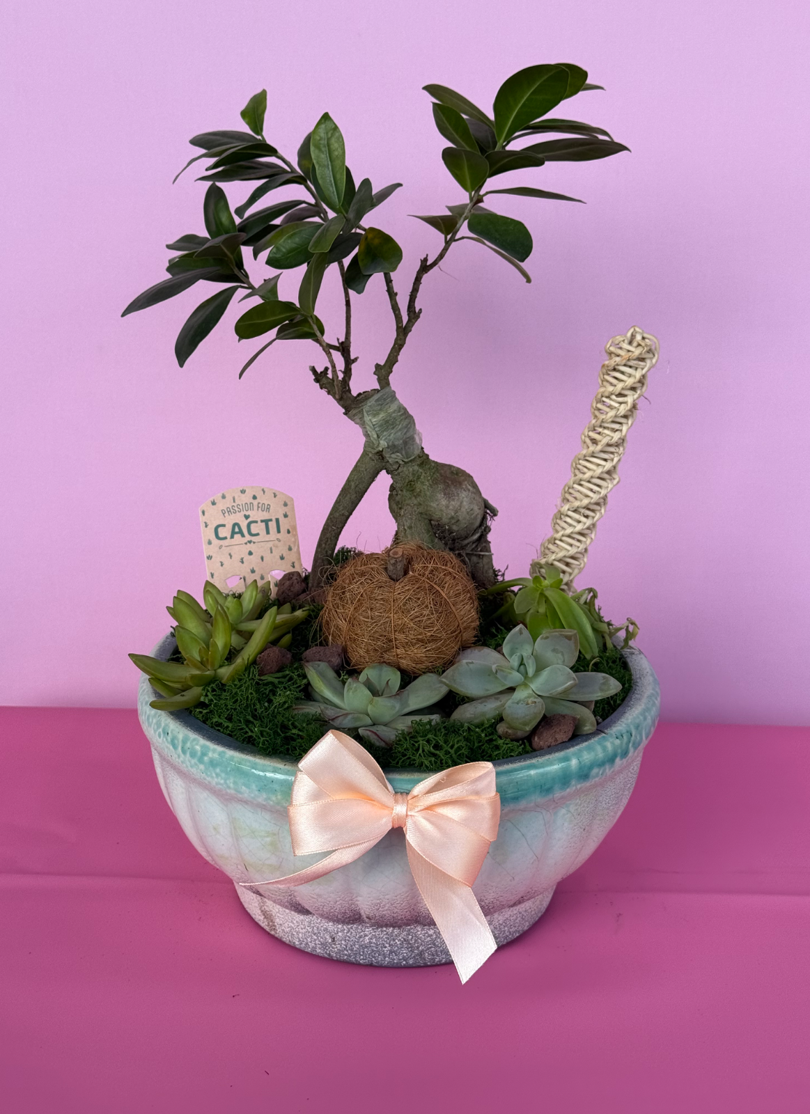 Bonsai ağacı arejmanı