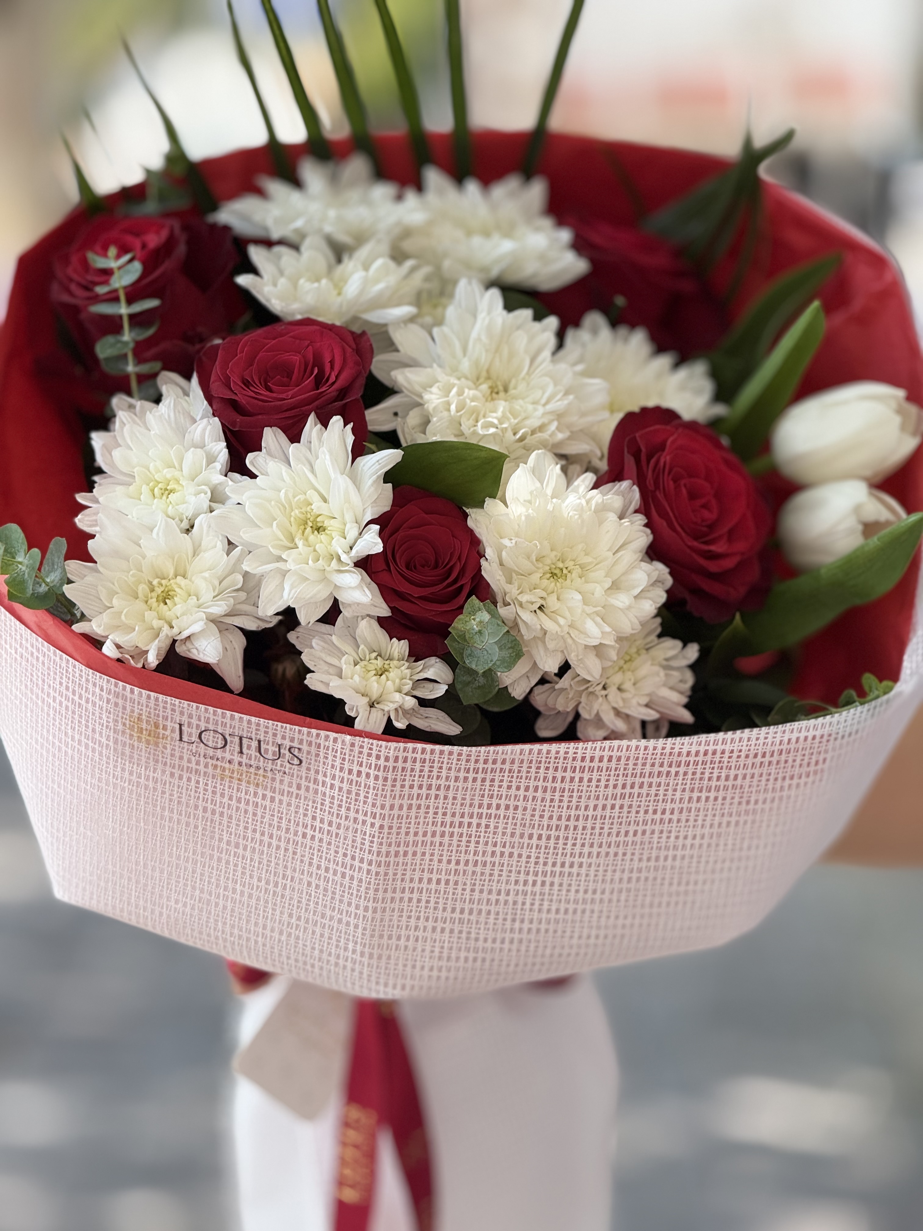 Kırmızılotus